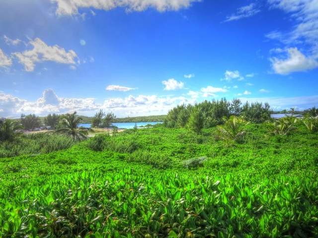 Singlefamilyvacant - Want to have your..