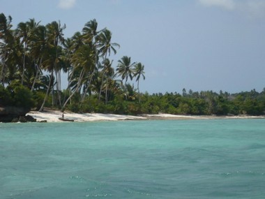 Land For Sale: Zanzibar beach & cliff..
