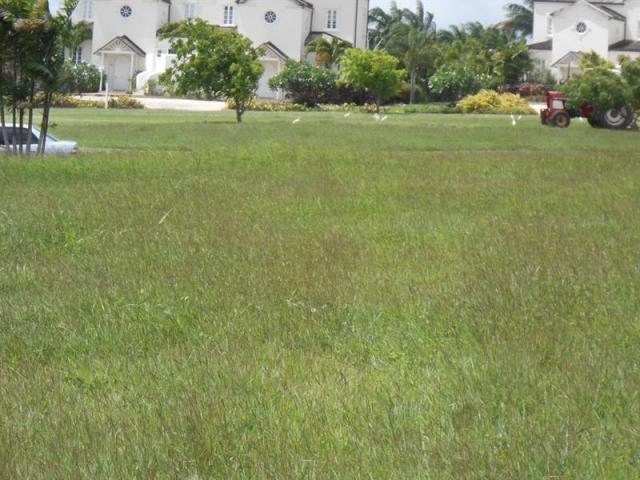 Property For Sale: Apes Hill Polo Field..
