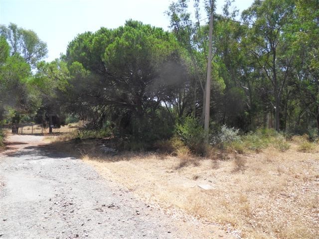 Land - Fantastic plot situated in the..