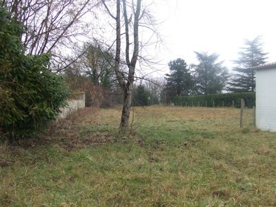 Building Plot