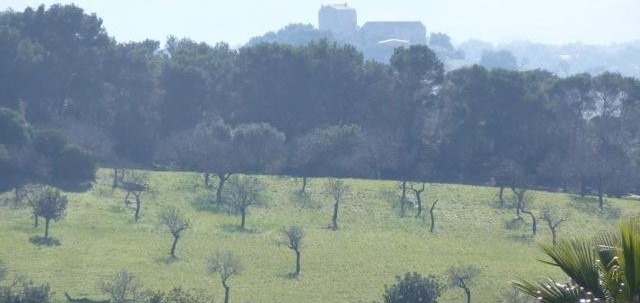 Spectacular plot of 27780m2 with 500m2.. - 2