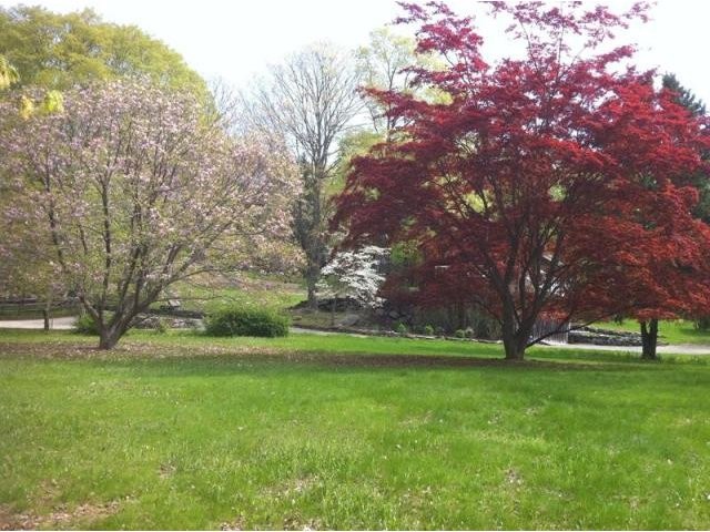 Land For Sale: Pound Ridge, New York