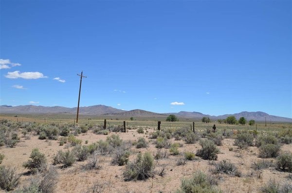 Land For Sale: Smith, Nevada - 2