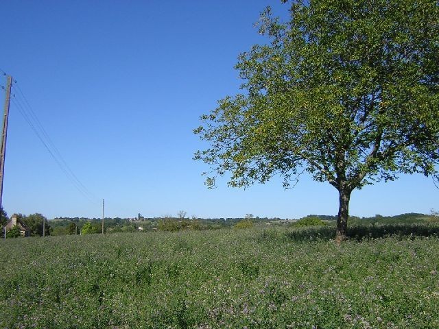 Vente Terrain Corgnac-Sur-L'isle