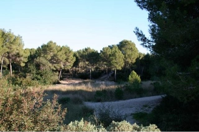 Large Plot With Views To Galatzo And.. - 2