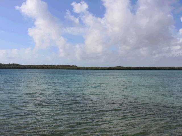 Singlefamilyvacant - Twenty (20) acre.. - 2