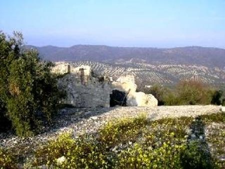 Land, Cuevas Bajas - 2