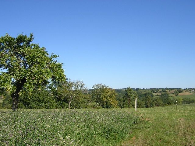 Vente Terrain Corgnac-Sur-L'isle - 2