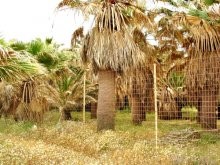Land In Greece - 2