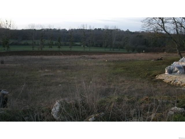 3 plots of ~ 1200m for each - 2