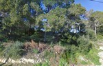 - Land - For Sale
