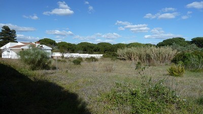 Land - Awaiting further details for..