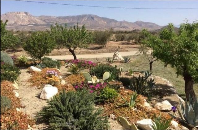Villa For Sale, Velez-Rubio, Almeria - 2