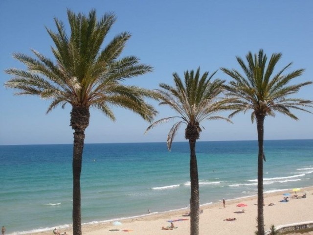 New Apartments next to Beach - 2