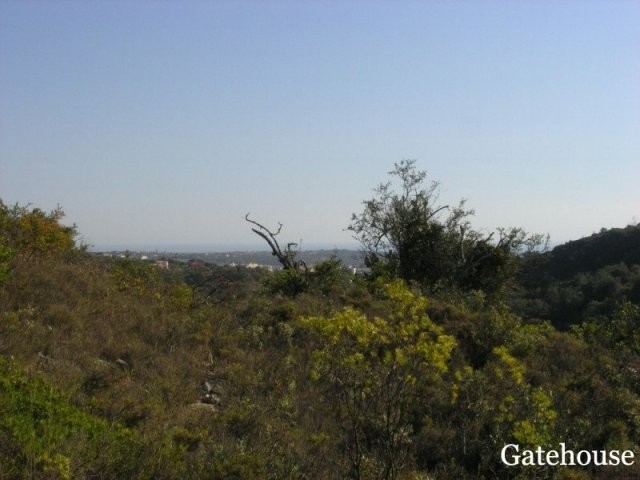 Hill Top 6,864m2 Plot For Sale In Loule.. - 2