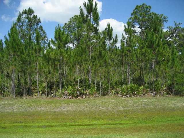 Land For Sale: 7431 201st E St.. - 2
