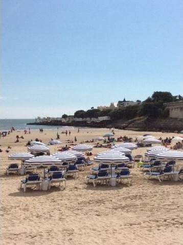 1 bedroom apartment in Royan-Pontaillac