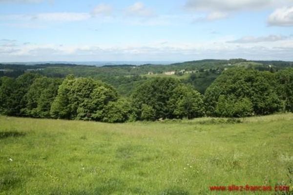 Nr Sioniac (19) - For sale : A large..