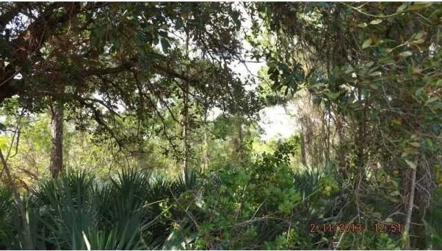Land For Sale: JEFFERSON PKWY - 2