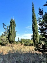Plot For Sale In Crete