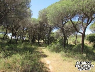 For Sale: Plot In Central Algarve.. - 2