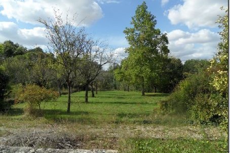 Stone House For Sale St Jean D Angely - 2