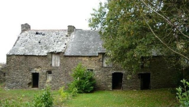 Great Renovation Prospect