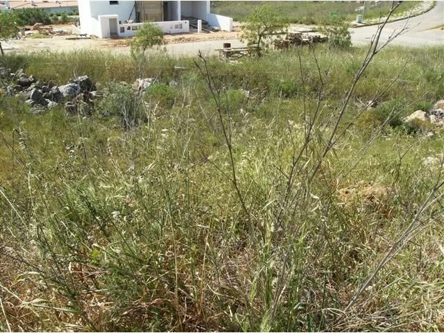Apartment - Algarve - For Sale