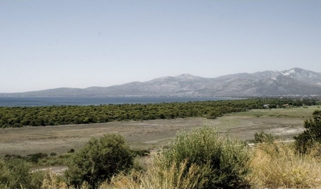 B310 - Land parcel of 1000 sqm in.. - 2