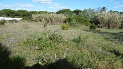 Land - Awaiting further details for.. - 2