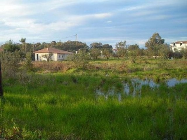 Land - Zakynthos - For Sale - 2