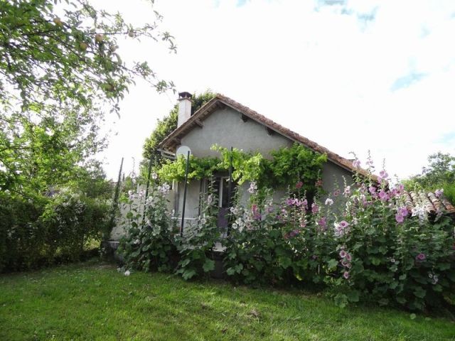 4 Bedroom House + Apartment - 2