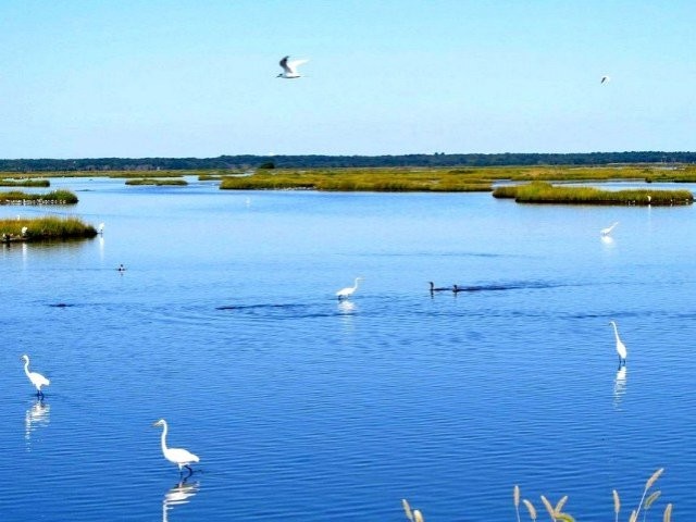 2 Bed Townhouse next to Nature Reserve