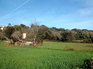 Finca near Artà with agricultural store.. - 2