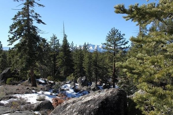 Land For Sale: Zephyr Cove, Nevada