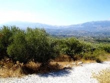 Cretan Land - 2