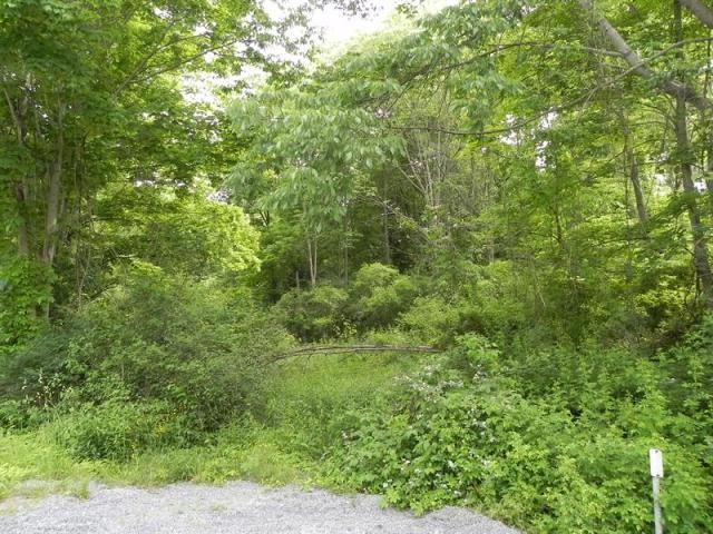 Land For Sale: Clinton, New York - 2