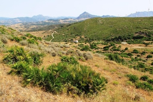 - Land - Malaga - For Sale