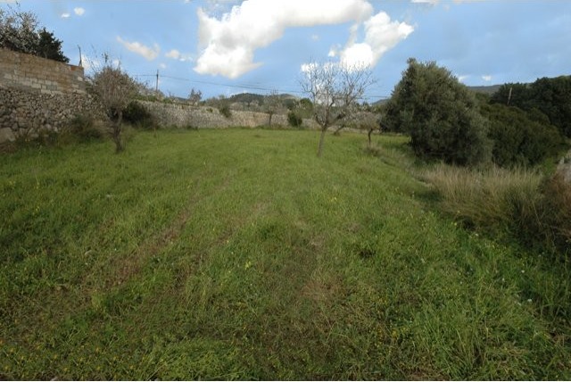 Plot - Calvia