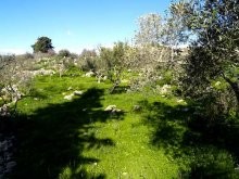 Land For Sale In Crete - 2