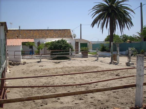 2 bedroom Country House For Sale: Finca.. - 2