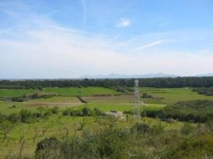 Finca plot near Muro - 2