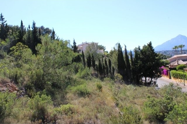 Plot in Javea