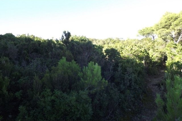 Building plot with sea views - 2