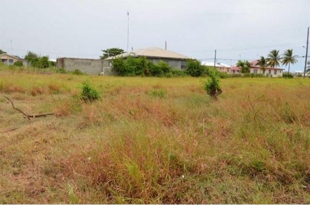 Property For Sale: Apple Hall Lot 2.. - 2