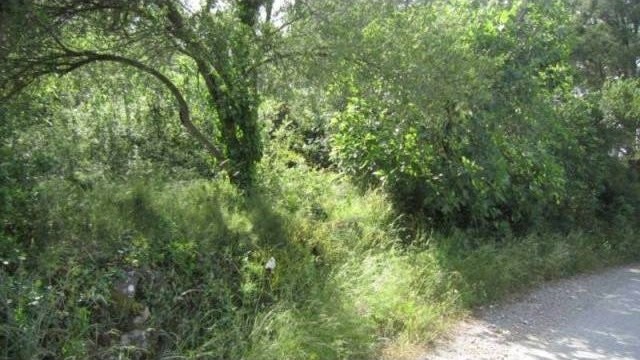 PLOT VERY NEAR THE CENTER OF BEGUR