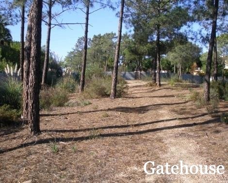 Building Plot With Project For Sale In.. - 2