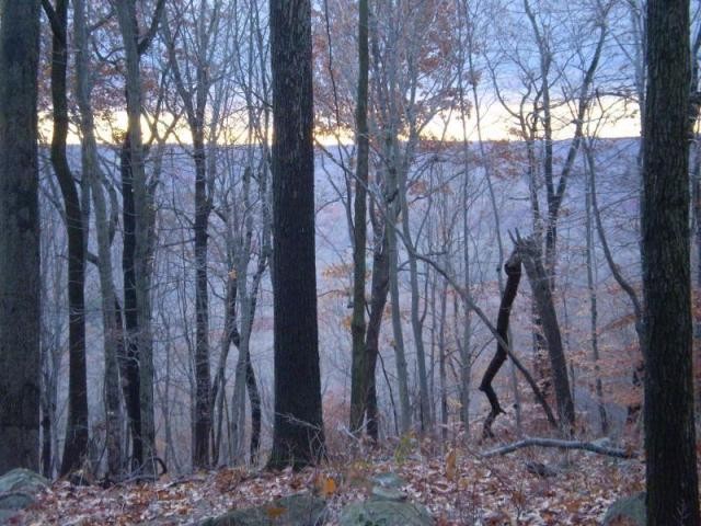 Land For Sale: 7 Queens Ct - 2