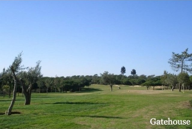 Building Plot With Project For Sale In..